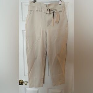New with Tags Banana Republic REFINED UTILITY PANT